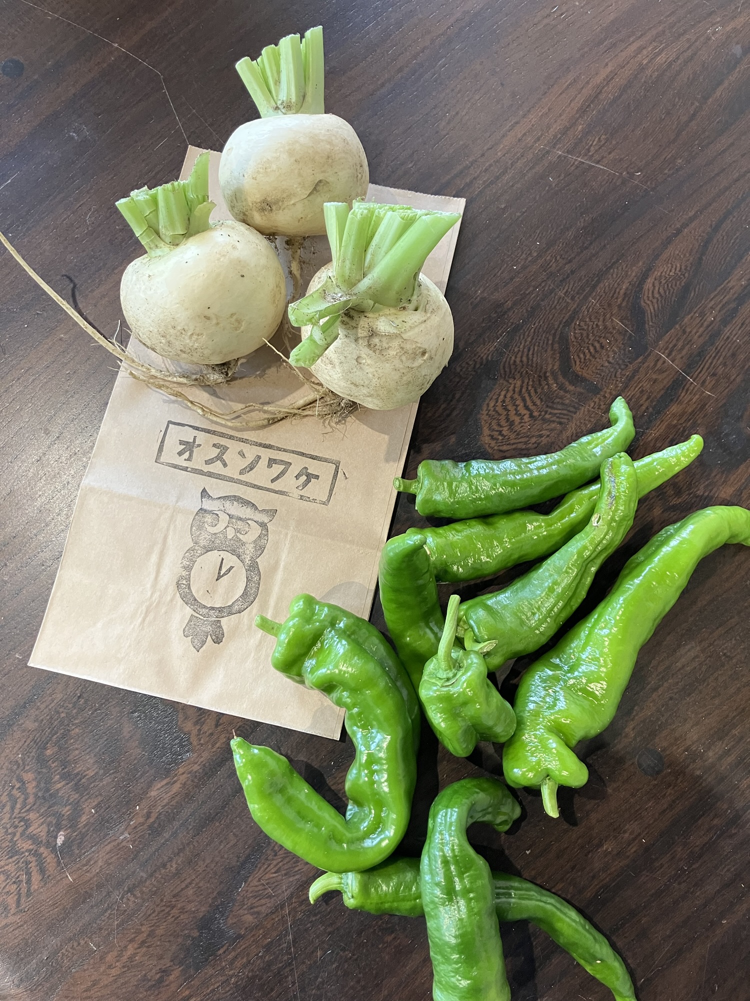 Read more about the article ふくろう農園の野菜を収穫しました