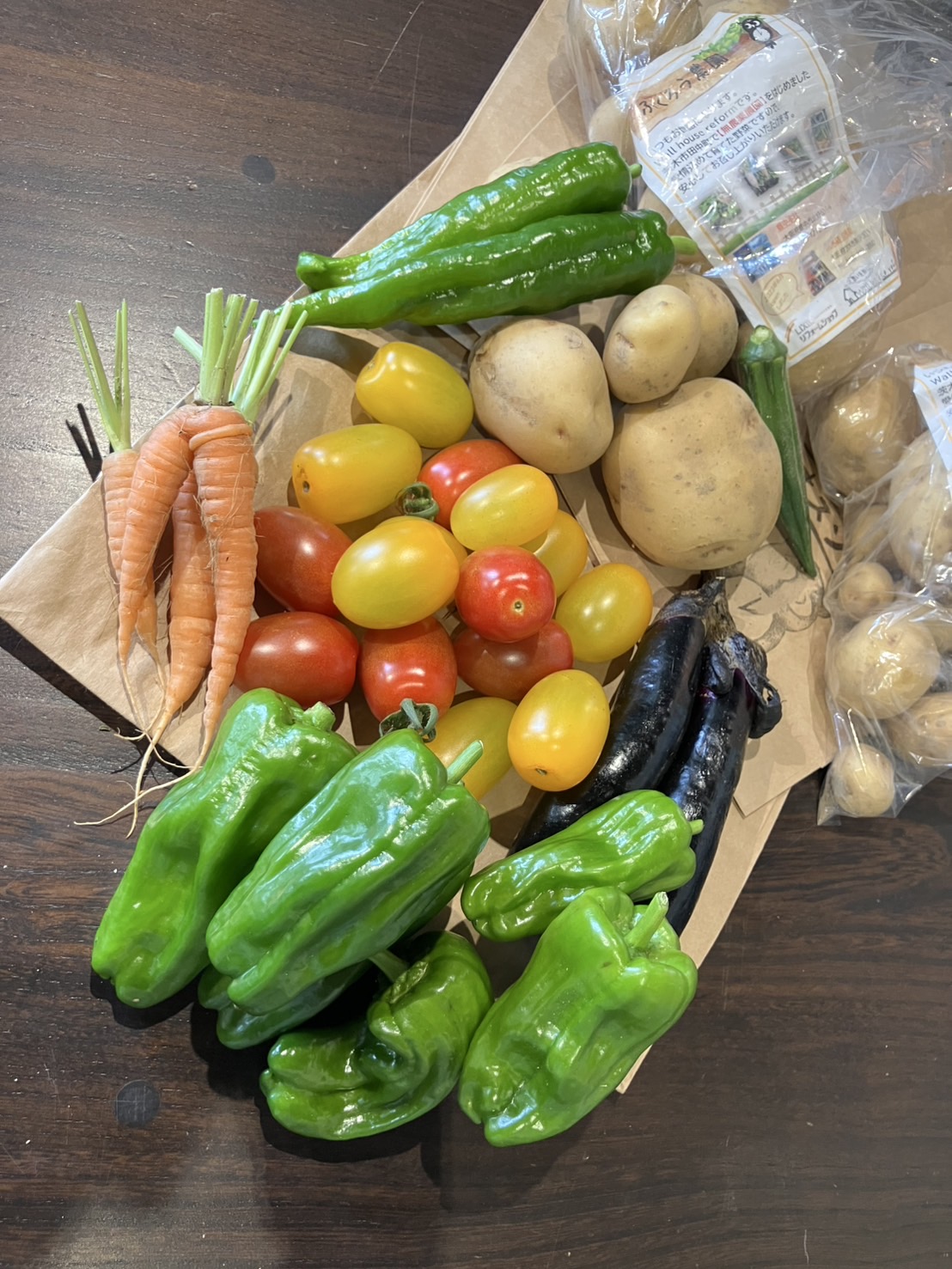 Read more about the article 【ふくろう農園】夏野菜を収穫しました🍅
